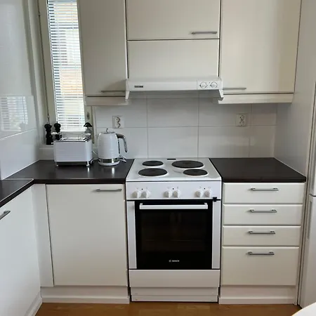 Great In Center 아파트 로바니에미